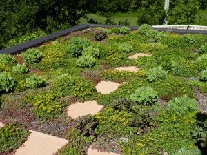 The green roof of apartment Priora at Casa Carotondo in Le Marche, Italy