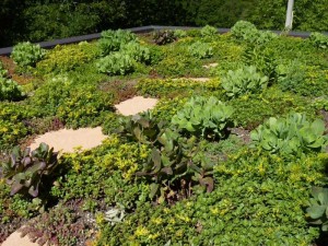 The green roof of apartment Priora at Casa Carotondo, Le Marche, Italy