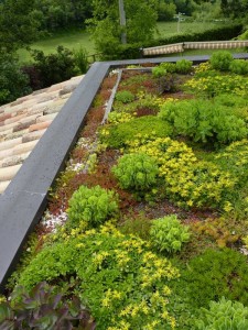 The metal edging and gravel drain of the sedum roof on apartment Priora at Casa Carotondo, Le Marche, Italy