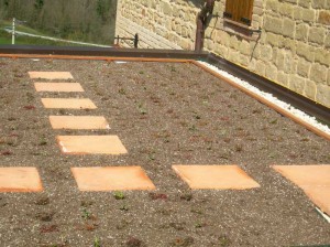 The newly laid out sedum garden on the roof of apartment Priora at Casa Carotondo in Le Marche, Italy