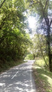 Towards Jujuy