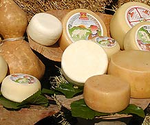 Pecorino cheese