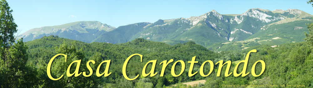 The view of the Sibillini Mountains, Le Marche, Italy from our garden 