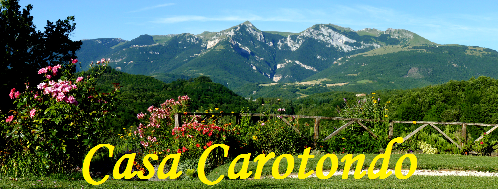 Das Panoramablick der sibillinischen Bergen, in den Marken, Italien von unserem Garten 