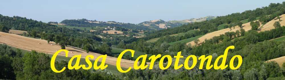 The rolling hills of Le Marche, Italy from our garden 