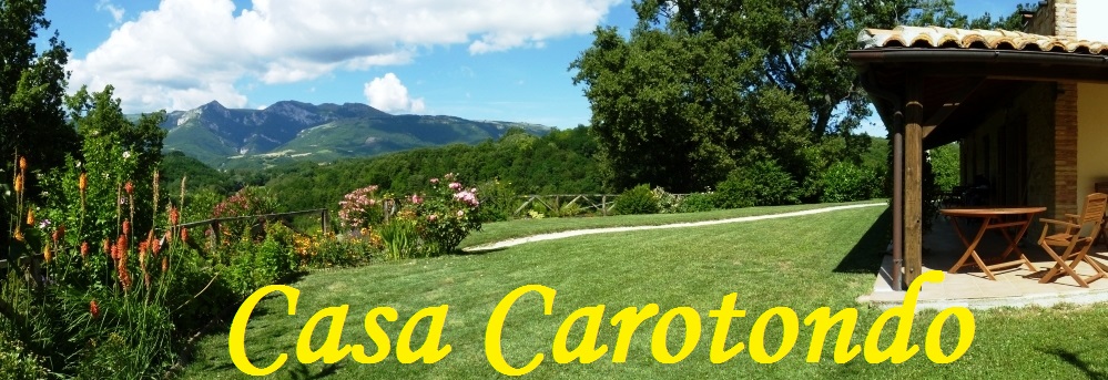 Das Garten vor Ferienwohnung Rotondo in der Nähe der Sibillinischen Bergen, in den Marken, Italien