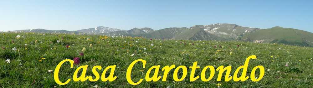 Wild flowers in the Sibillini Mountains, Le Marche, Italy