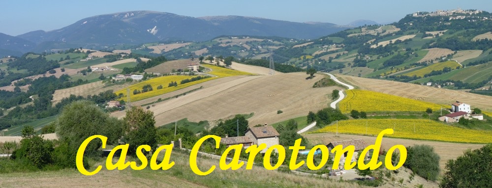 Die Landschaft im Sommer um Casa Carotondo in den Marken, Italien